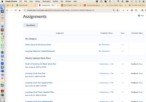 Screen Picture of an FLC course room Assignments Dropbox